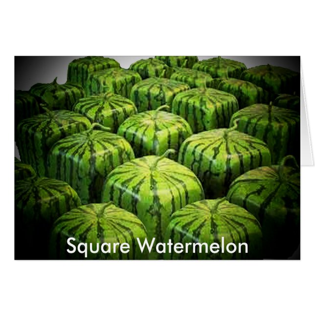 Square Watermelon (Vorderseite (Horizontal))
