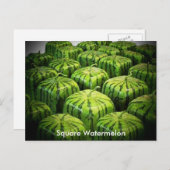 Square Watermelon Postkarte (Vorne/Hinten)