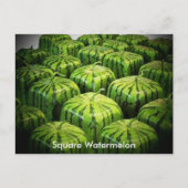 Square Watermelon Postkarte (Vorderseite)