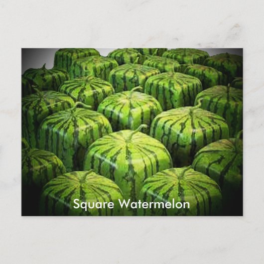 Square Watermelon Postkarte (Vorderseite)