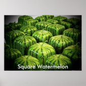 Square Watermelon Print Poster (Vorne)