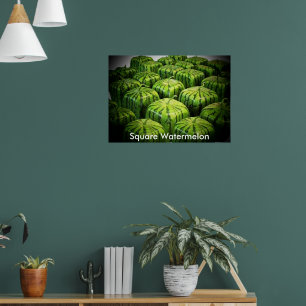 Square Watermelon Print Poster
