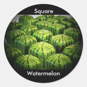 Square Watermelon Runder Aufkleber