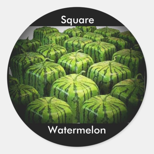 Square Watermelon Runder Aufkleber (Vorderseite)