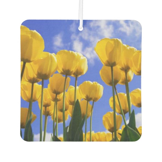 Square Yellow Tulips Air Freshener Autolufterfrischer (Vorderseite)