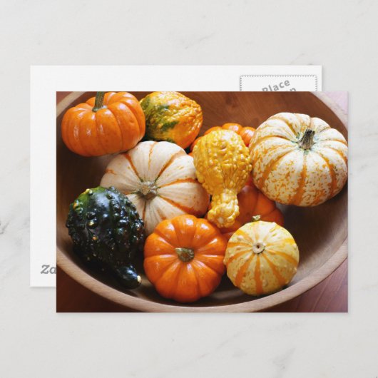 Squash Bowl Postkarte (Vorne/Hinten)