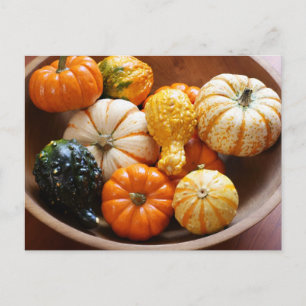 Squash Bowl Postkarte