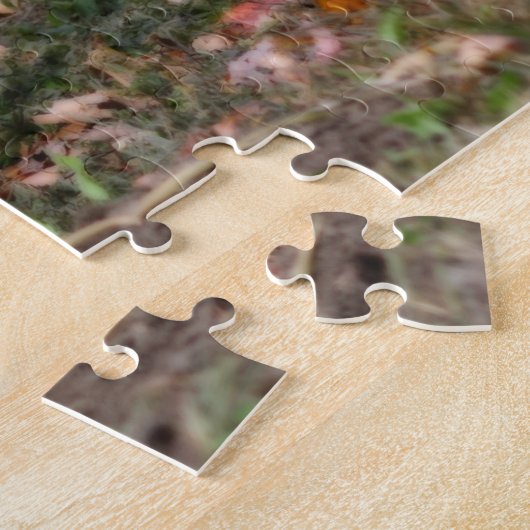 Squash Country Garden Ernte Orton Effekt Puzzle (Seite)