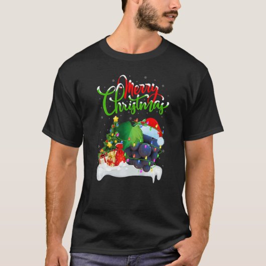 Squash Fruit Xmas Decorations Santa Squash Christ T-Shirt (Vorderseite)