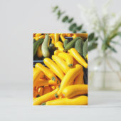 Squash in Gelb und Grün Postkarte (Stehend Vorderseite)