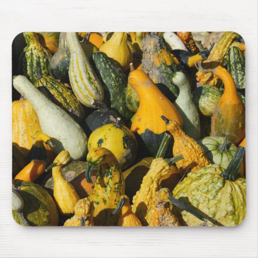 Squash Mousepad (Vorne)