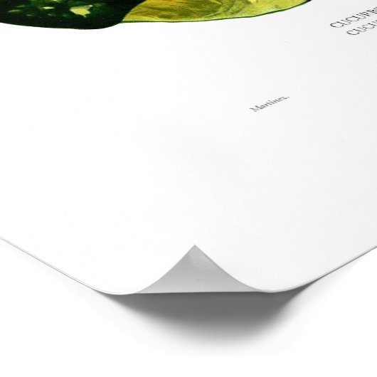 Squash Poster (Ecke)