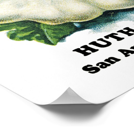 Squash Seed Packet Label Poster (Ecke)