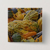 Squash-Sorte Button (Vorderseite)