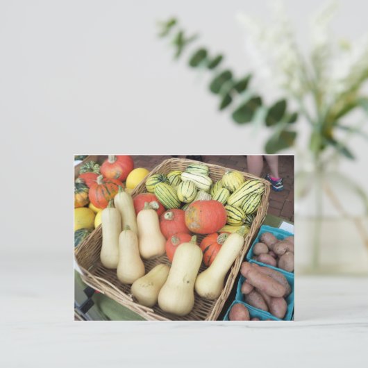 Squash-Sortiment Postkarte (Stehend Vorderseite)