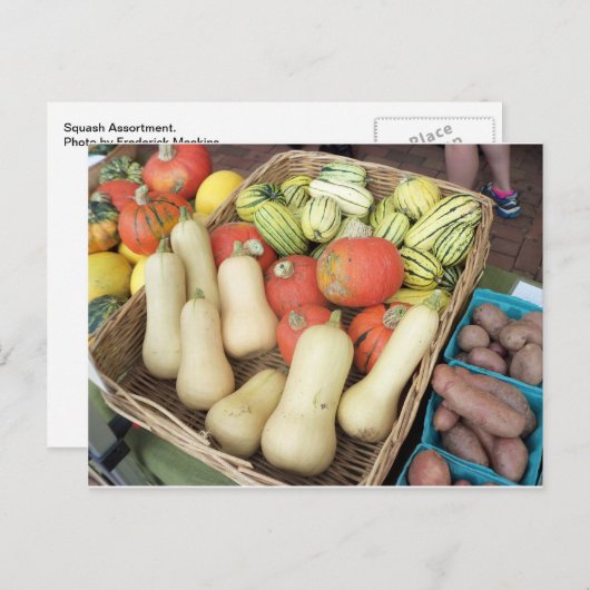 Squash-Sortiment Postkarte (Vorne/Hinten)