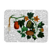 Squash Vine 1 Magnet (Horizontal)