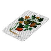 Squash Vine 1 Magnet (Linke Seite)