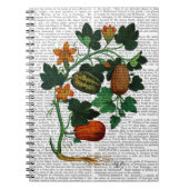 Squash Vine 1 Notizblock (Vorderseite)