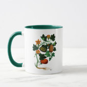 Squash Vine 1 Tasse (Links)