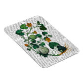 Squash Vine 2 Magnet (Rechte Seite)