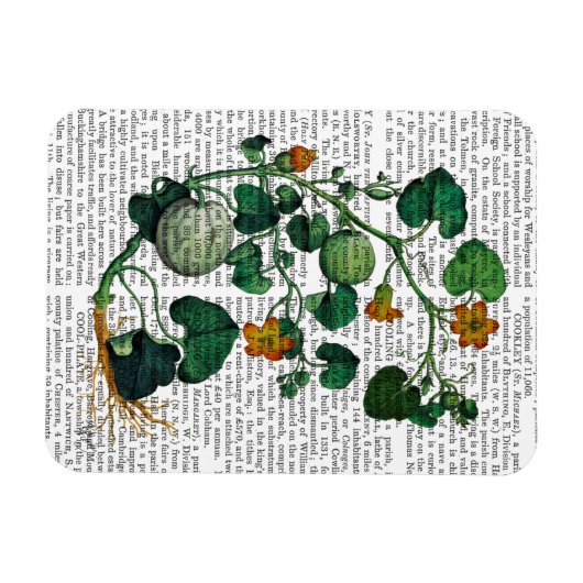 Squash Vine 2 Magnet (Horizontal)