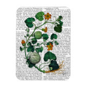 Squash Vine 2 Magnet (Vertikal)