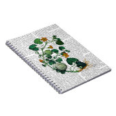 Squash Vine 2 Notizblock (Rechte Seite)