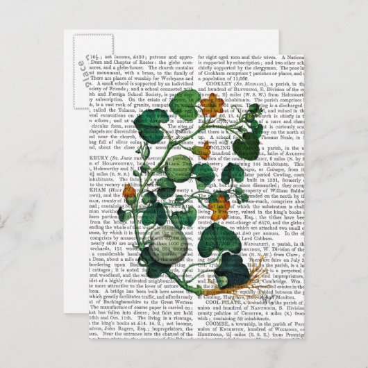 Squash Vine 2 Postkarte (Vorne/Hinten)