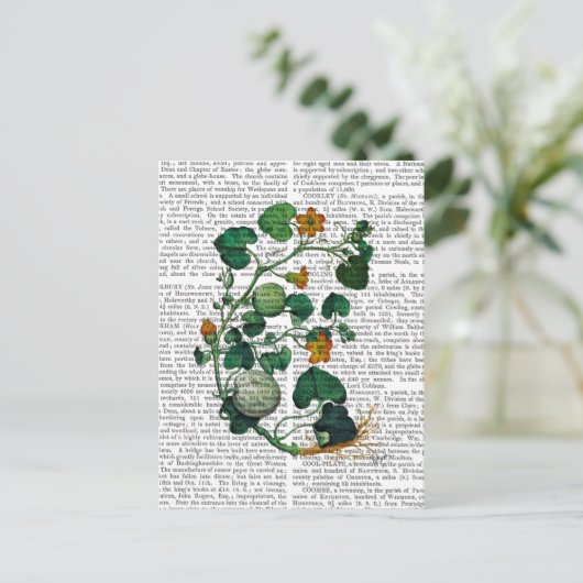 Squash Vine 2 Postkarte (Stehend Vorderseite)