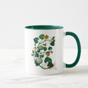 Squash Vine 2 Tasse