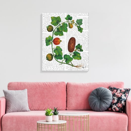 Squash Vine 3 Leinwanddruck (Insitu (Wohnzimmer))