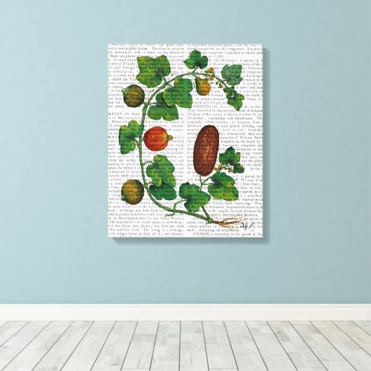 Squash Vine 3 Leinwanddruck (Insitu (Holzboden))