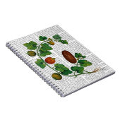 Squash Vine 3 Notizblock (Rechte Seite)