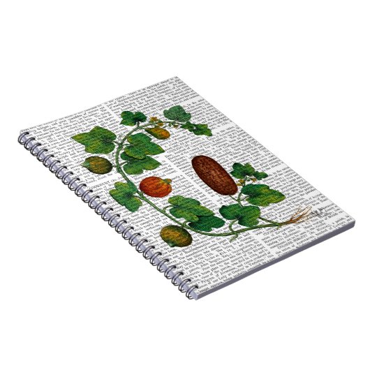 Squash Vine 3 Notizblock (Rechte Seite)