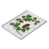 Squash Vine 3 Notizblock (Linke Seite)