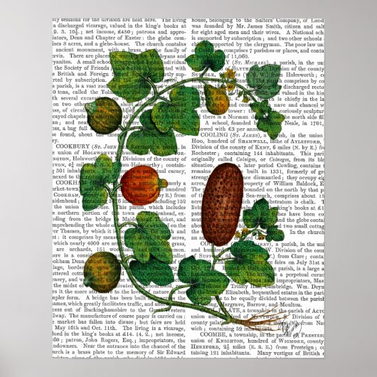 Squash Vine 3 Poster (Vorne)