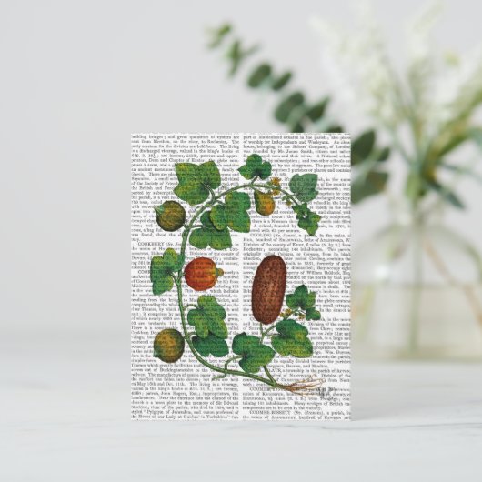 Squash Vine 3 Postkarte (Stehend Vorderseite)