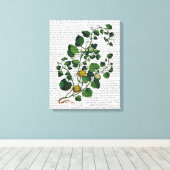 Squash Vine 4 Leinwanddruck (Insitu (Holzboden))