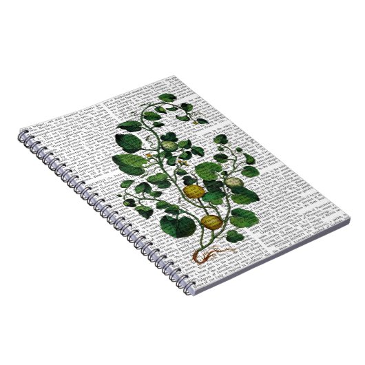 Squash Vine 4 Notizblock (Rechte Seite)