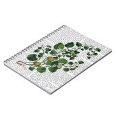 Squash Vine 4 Notizblock (Linke Seite)