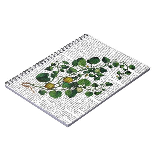 Squash Vine 4 Notizblock (Linke Seite)