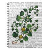 Squash Vine 4 Notizblock (Vorderseite)