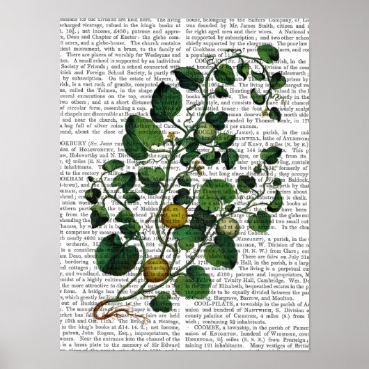 Squash Vine 4 Poster (Vorne)