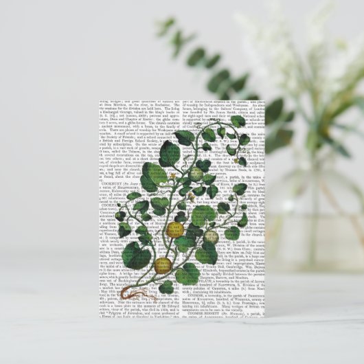 Squash Vine 4 Postkarte (Stehend Vorderseite)