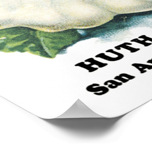 Squash-Vintage Saatpackung Poster (Ecke)