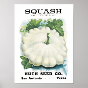 Squash-Vintage Saatpackung Poster