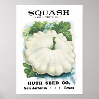 Squash-Vintage Saatpackung Poster
