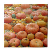 Squashes Galore Fliese (Vorderseite)