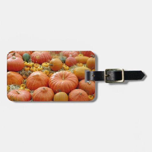 Squashes Galore Gepäckanhänger (Vorderseite horizontal)
